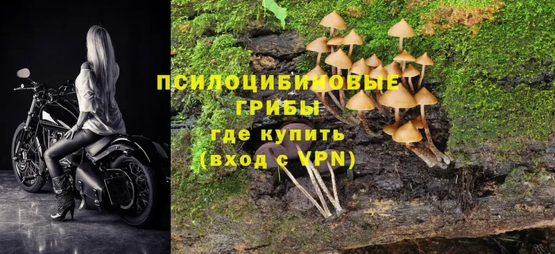 Псилоцибиновые грибы MAGIC MUSHROOMS  Зеленодольск 